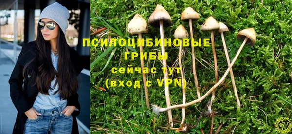 Альфа ПВП Алзамай