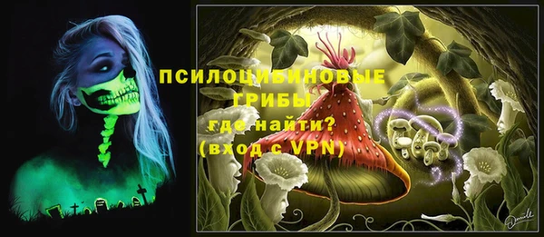 Альфа ПВП Алзамай